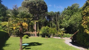 Un jardín bien cuidado con diversos árboles y un camino despejado.