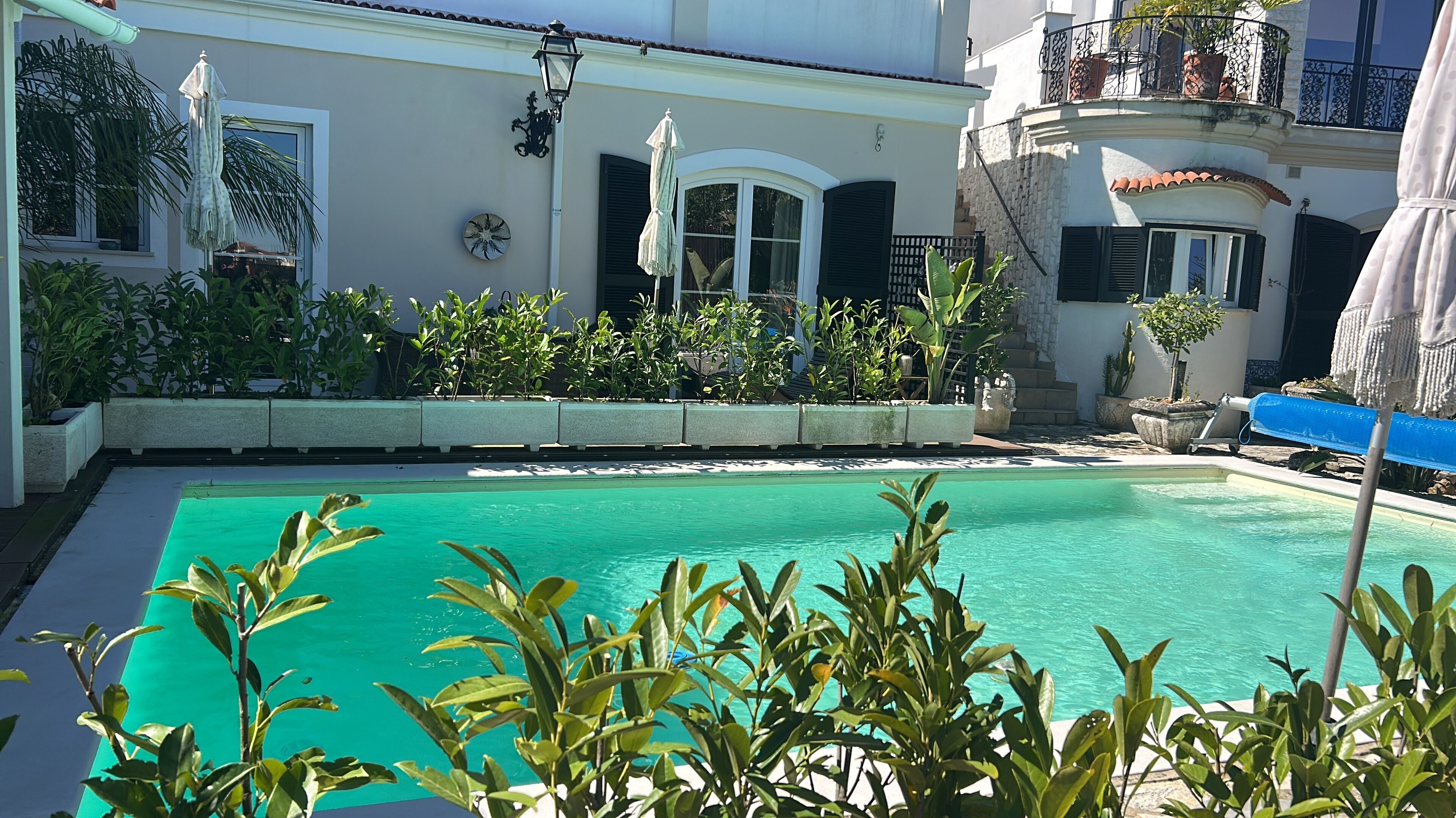 A swimming pool surrounded by potted plants and a building with a balcony.