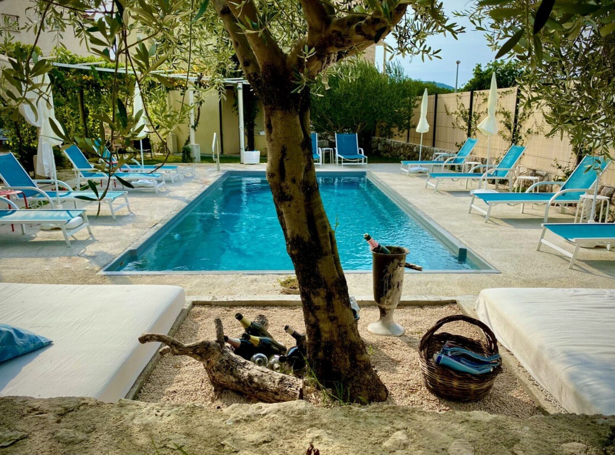 A pool area with lounge chairs, a tree, and a bottle of champagne.