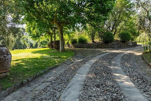Ein Steinpfad in einem Park mit Bäumen und einer Steinmauer.
