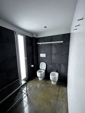 Assecador de cabells, bidet, tovalloles i sabó