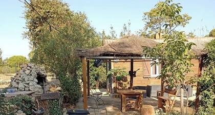 Chalet Paradiso: A Green Oasis in the Heart of the French Riviera