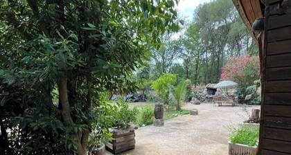 Chalet Paradiso: A Green Oasis in the Heart of the French Riviera