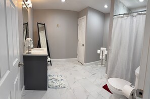 Shower, hair dryer, bidet, towels - Luxury suite in Bellingham, MA (Bellingham)
