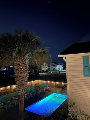 Una piscina con sillas, una palmera y una casa al fondo.