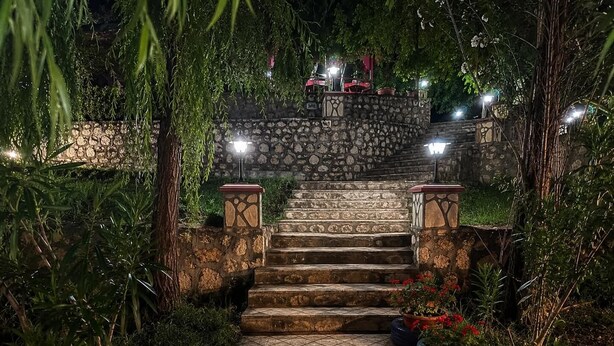 Una escalera de piedra que conduce a un espacio cubierto con plantas en macetas y un muro de piedra.