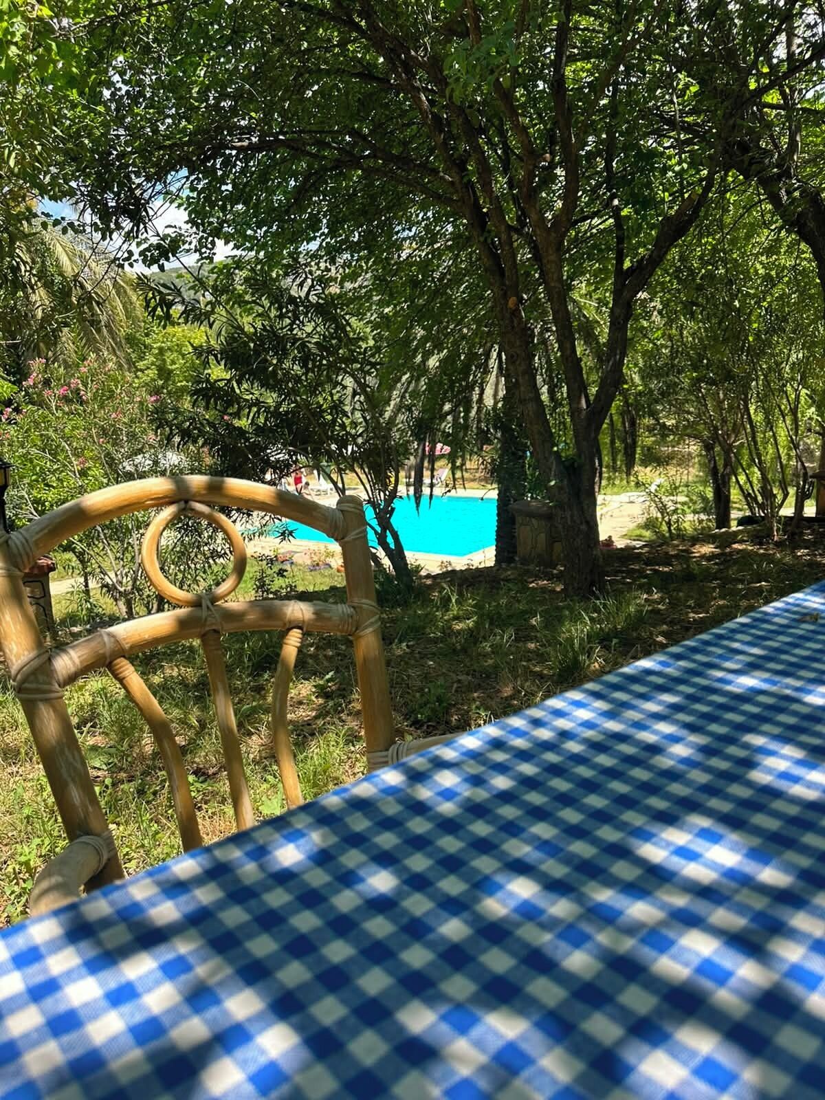Un mantel a cuadros, una silla de bambú y una piscina en un área boscosa.