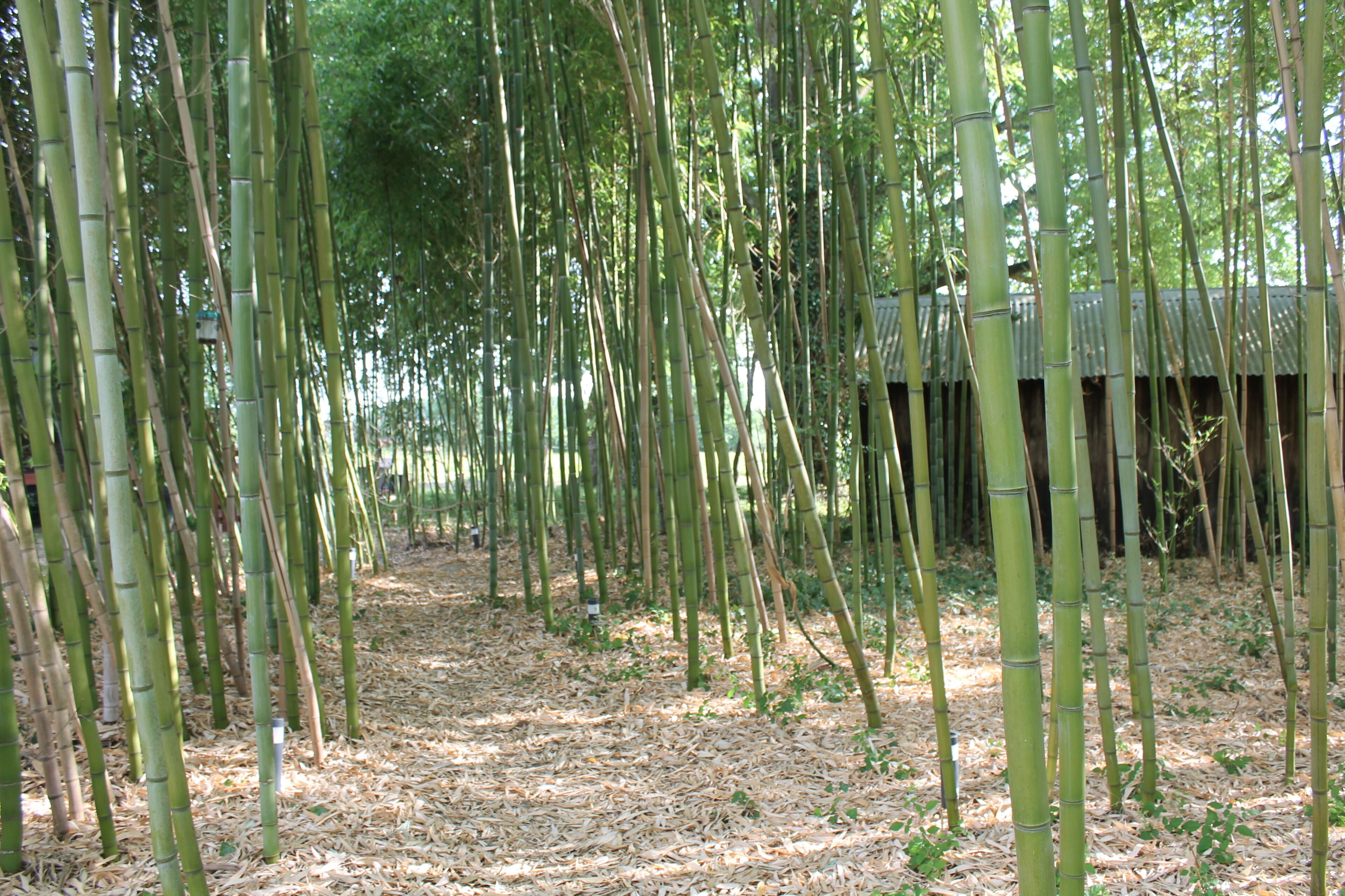 住宿地面