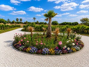 Un jardín ajardinado con diversas flores y palmeras.