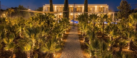 A modern building with a pool, surrounded by palm trees and a gravel path.