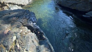 A clear river with rocky banks and trees.