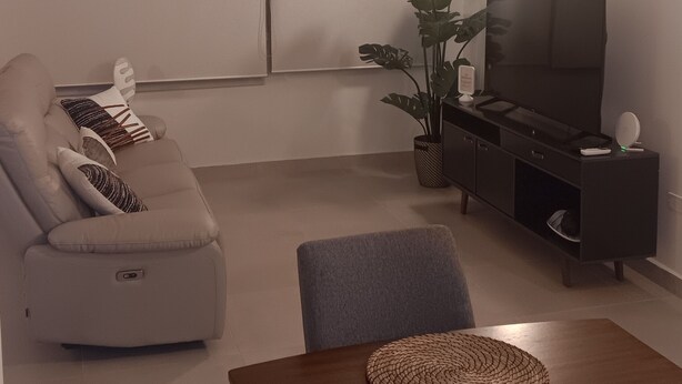 Moderni olohuone, jossa on sohva, ruokapöytä aluslautasineen, televisio ja huonekasvi.