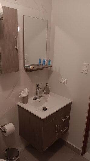 Secador de cabelo, toalhas de banho, sabonete, papel higiênico