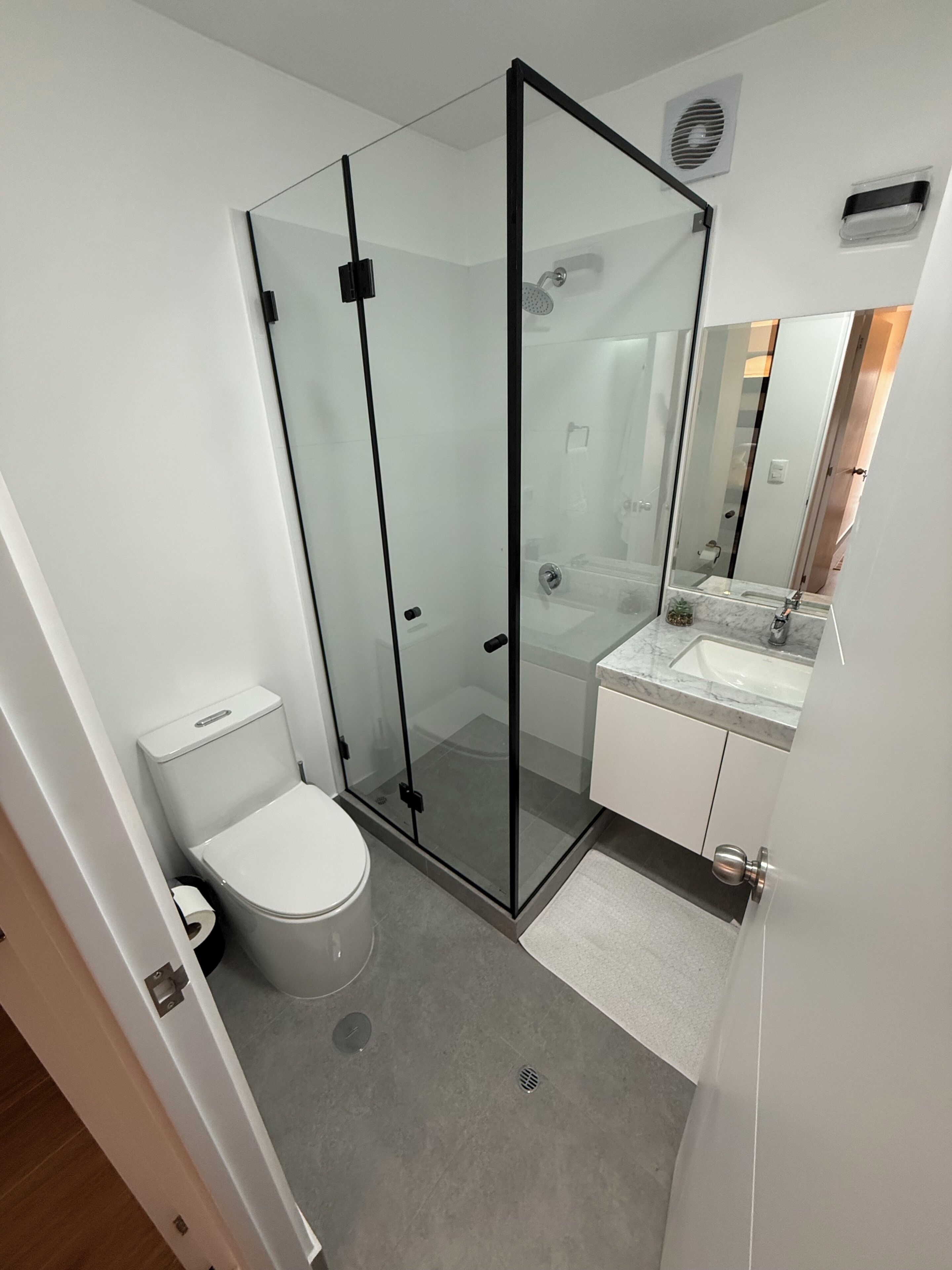 A modern bathroom with a glass shower enclosure, a toilet, a sink, and a mirror.