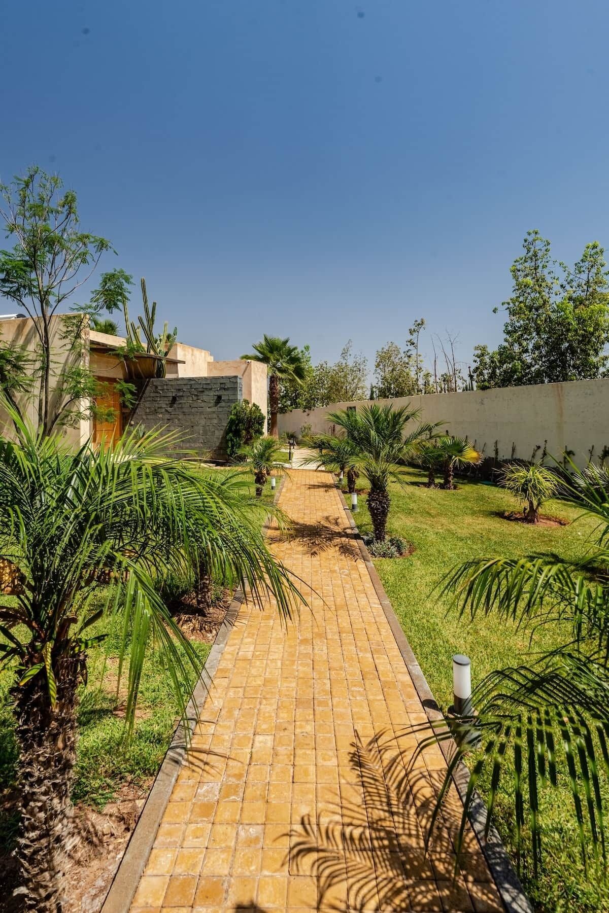 A paved pathway leading through a garden with palm trees and a stone wall.