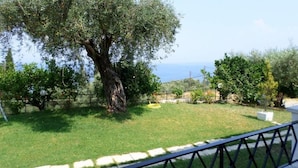 A tree-lined yard with a view of the sea. - Rising Sun Apartments Studios (Corfu)