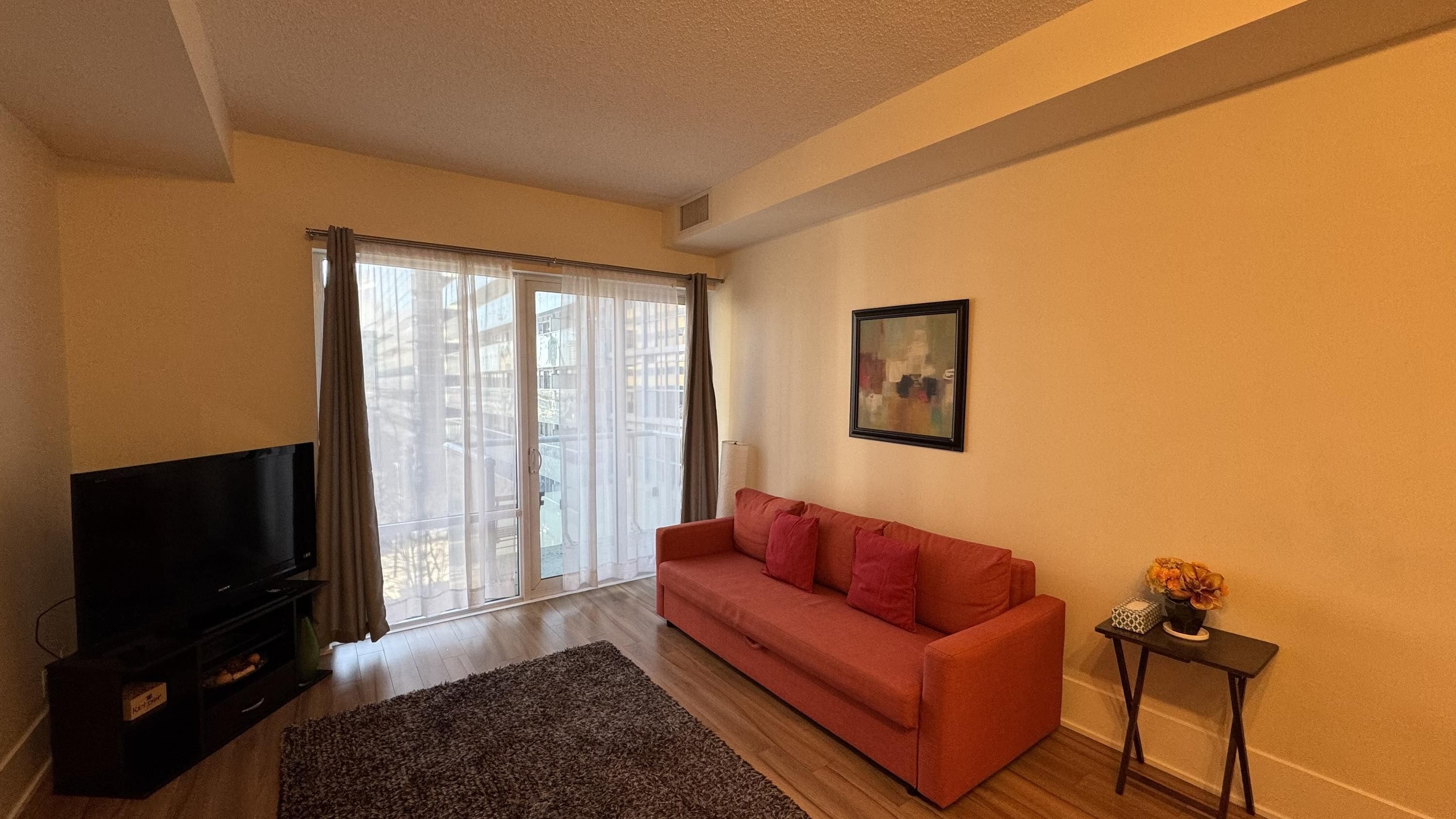 A living room with a sofa, a TV, a window with curtains, and a framed picture on the wall.