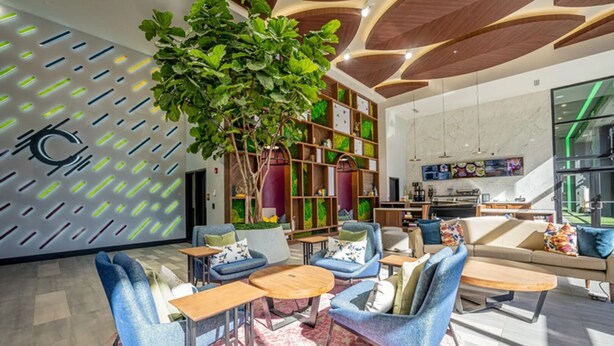 Ein modernes Interieur mit einer großen Pflanze, blauen Sesseln, einem Holztisch und einer Küchenzeile.