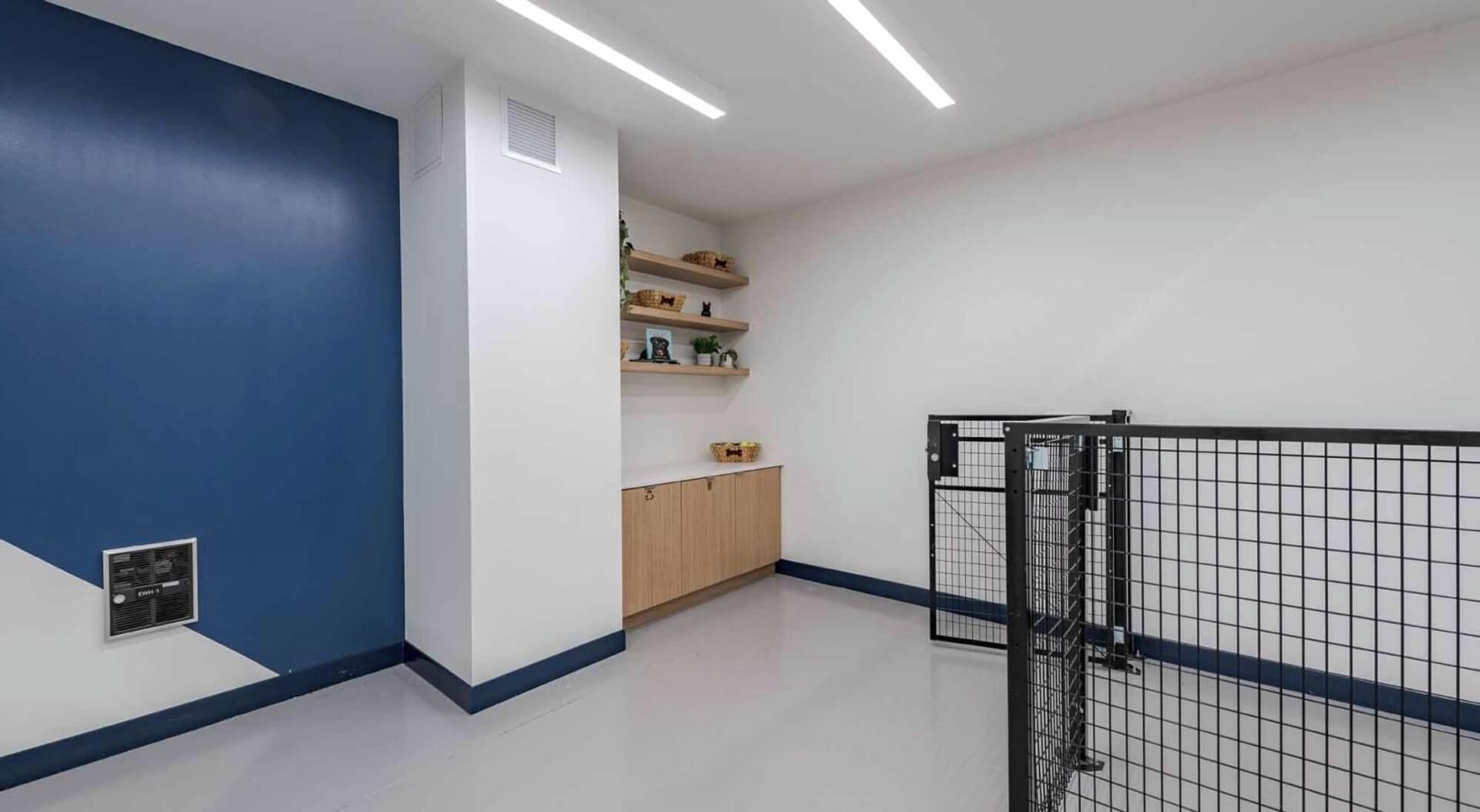 Een modern interieur met een blauwe accentmuur, een houten kast en een metalen hek.