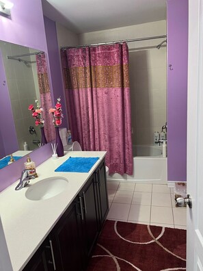 Secadora de cabello, toallas, jabón, papel de baño 