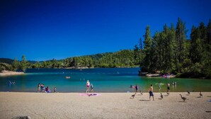 A beach with clear water, people, and birds.