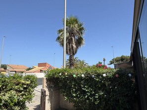 Klarer Himmel, eine Palme und ein Gebäude mit rotem Dach.