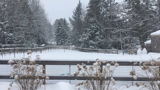A snow-covered outdoor area with a fence and trees in the background. - Slow-Luxury Oceanfront Hot Tub, Sunset, and Dogs OK (Friendship)