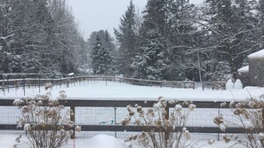 A snow-covered outdoor area with a wooden fence, trees, and a building in the background. - Slow-Luxury Oceanfront Hot Tub, Sunset, and Dogs OK (Friendship)