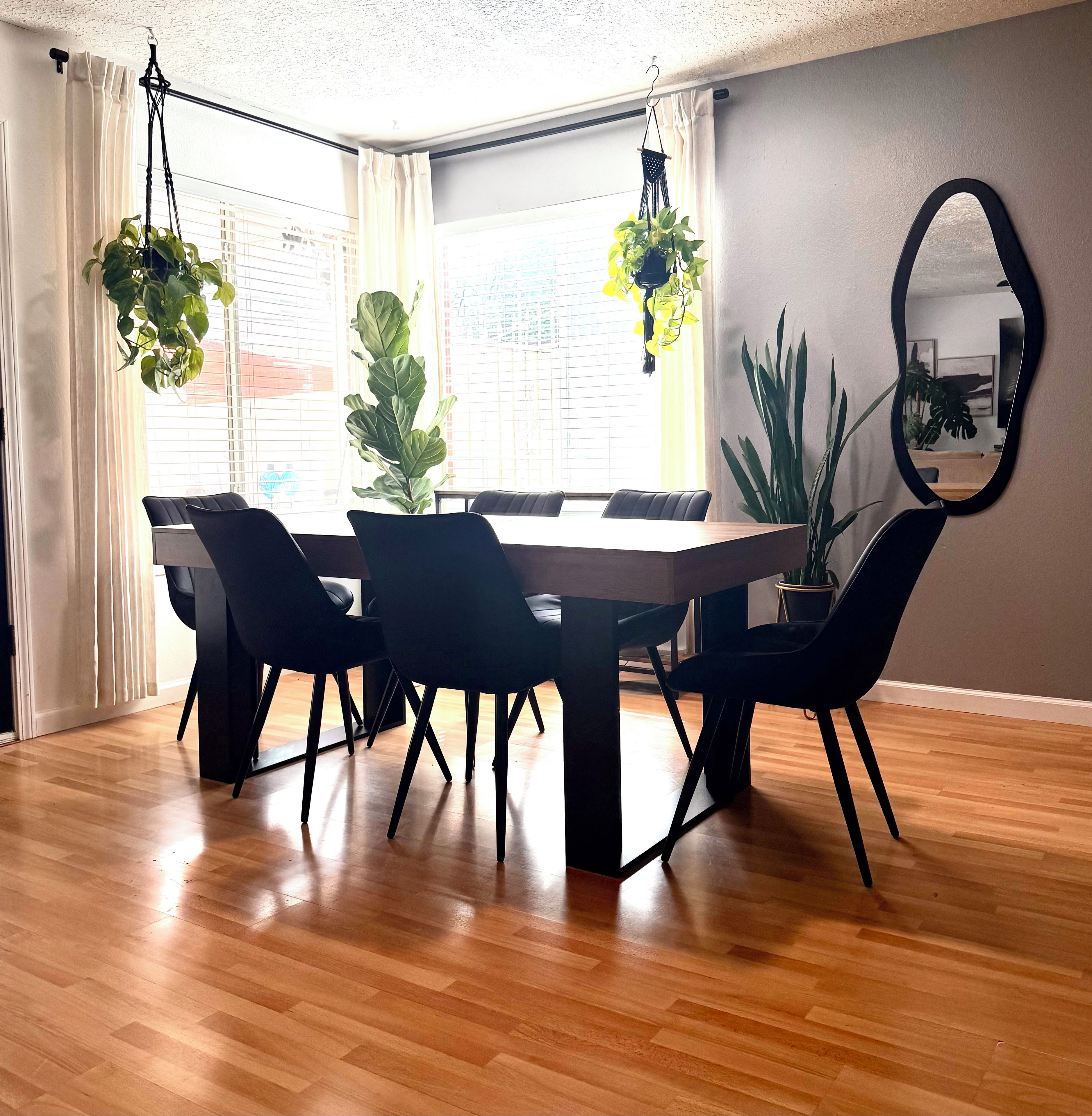 A dining area with a wooden table, black chairs, and hanging plants.