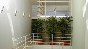 Ảnh chưa phân loại, 5 trong số 52 ảnh, nút