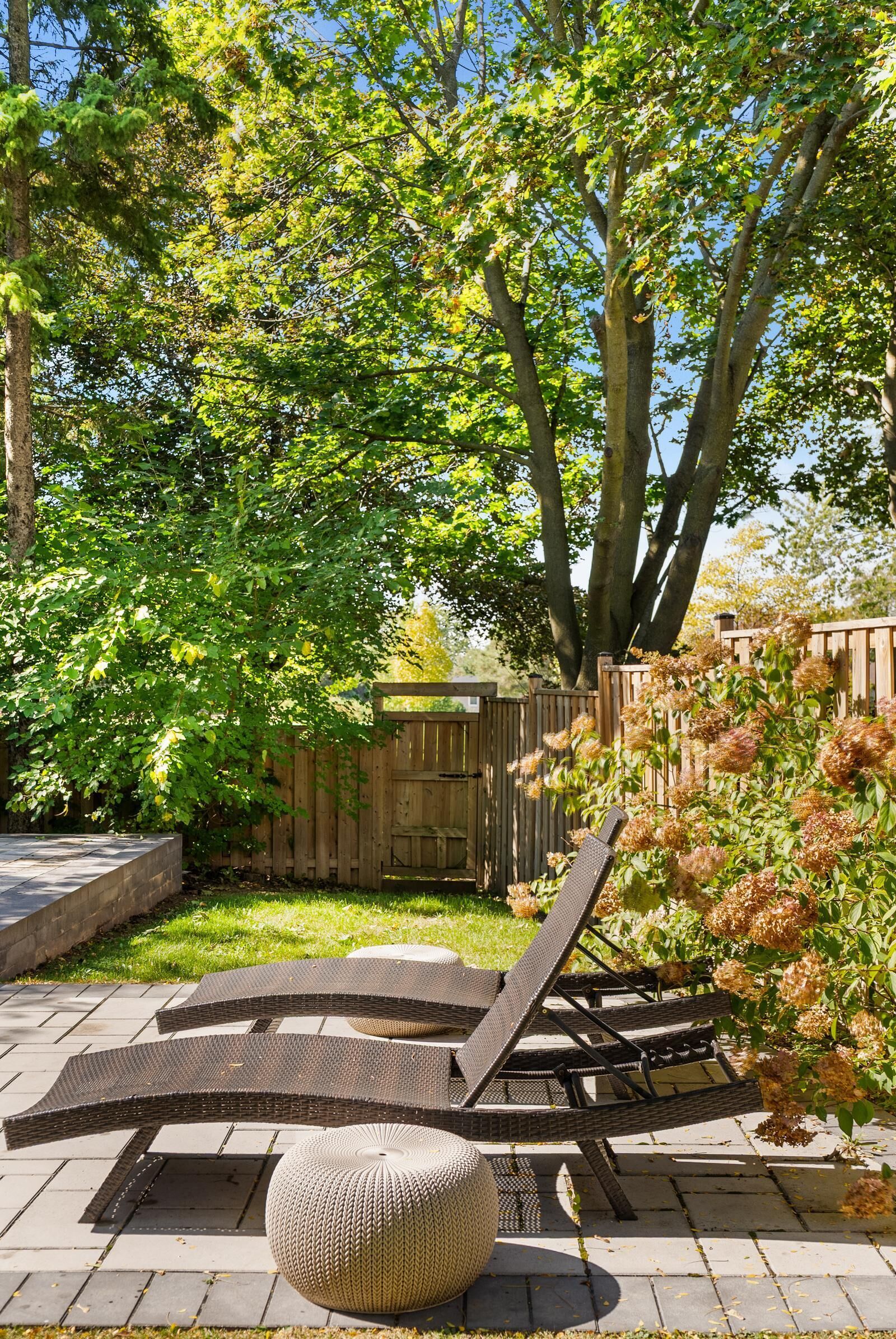 Terrasse/patio