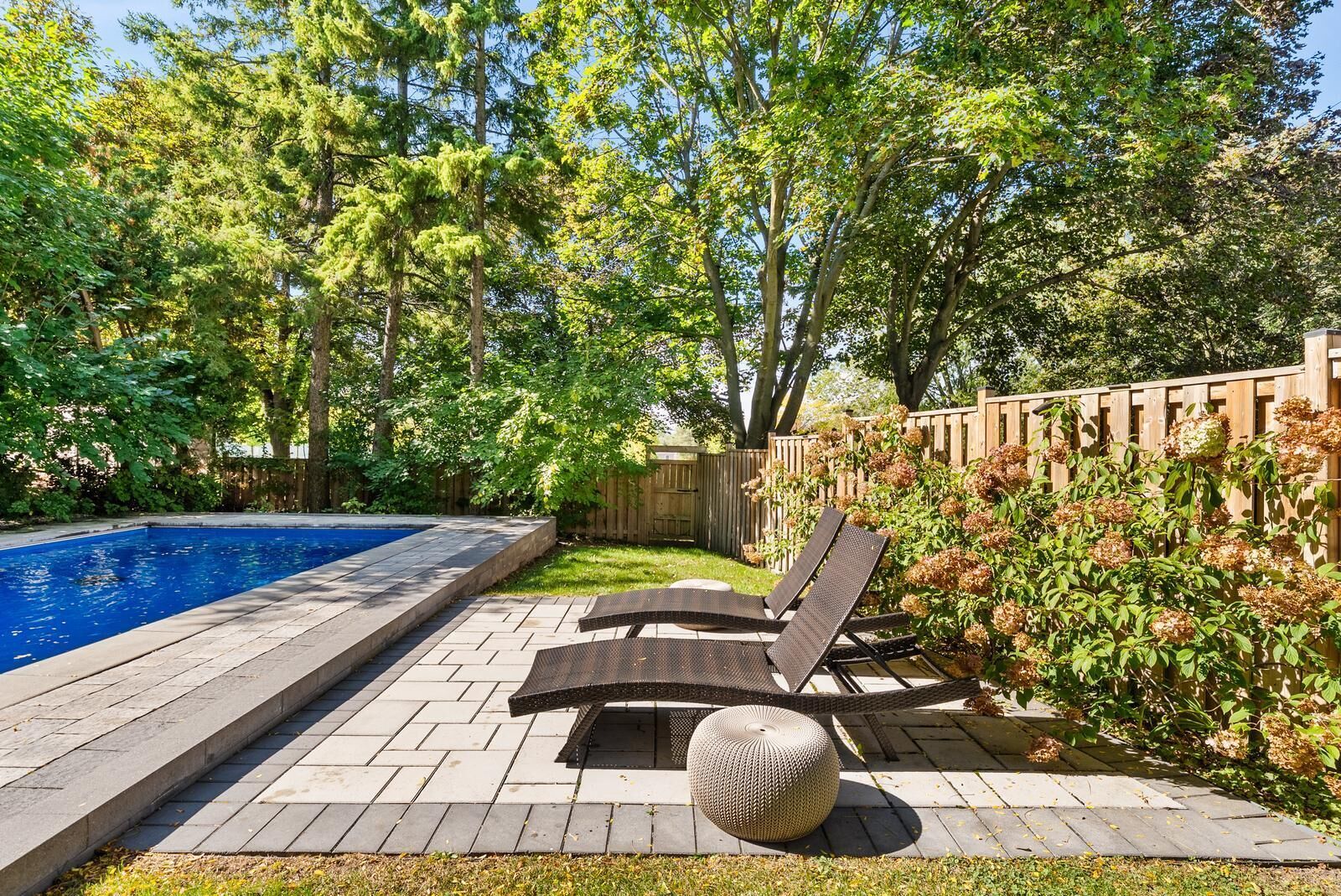 A swimming pool with lounge chairs and a round ottoman, surrounded by trees and a wooden fence.