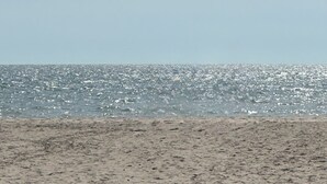 A beach with a sandy shore and a calm sea.