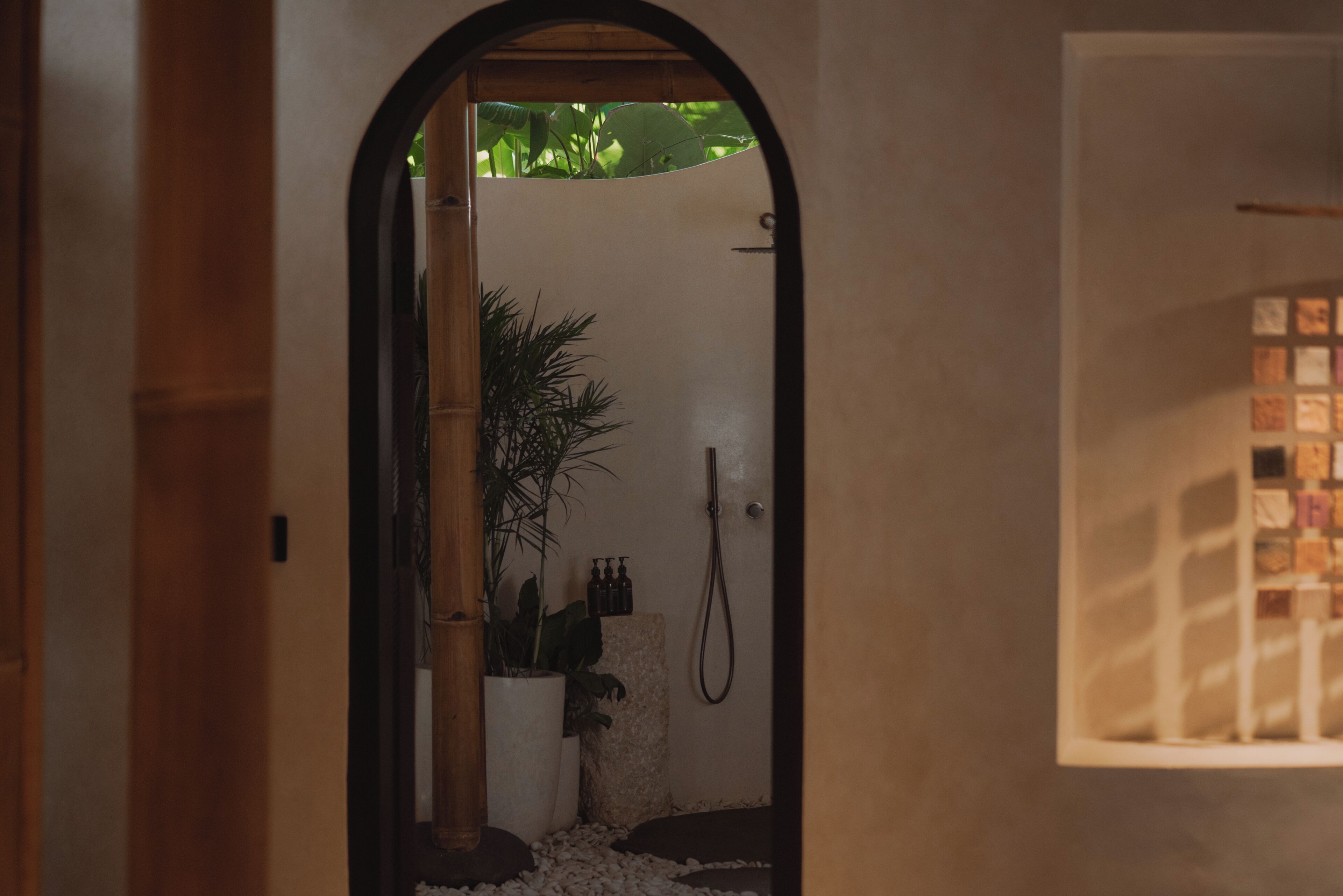 An arched doorway leading to a shower area with a bamboo plant, a potted plant, and a tiled shower wall.