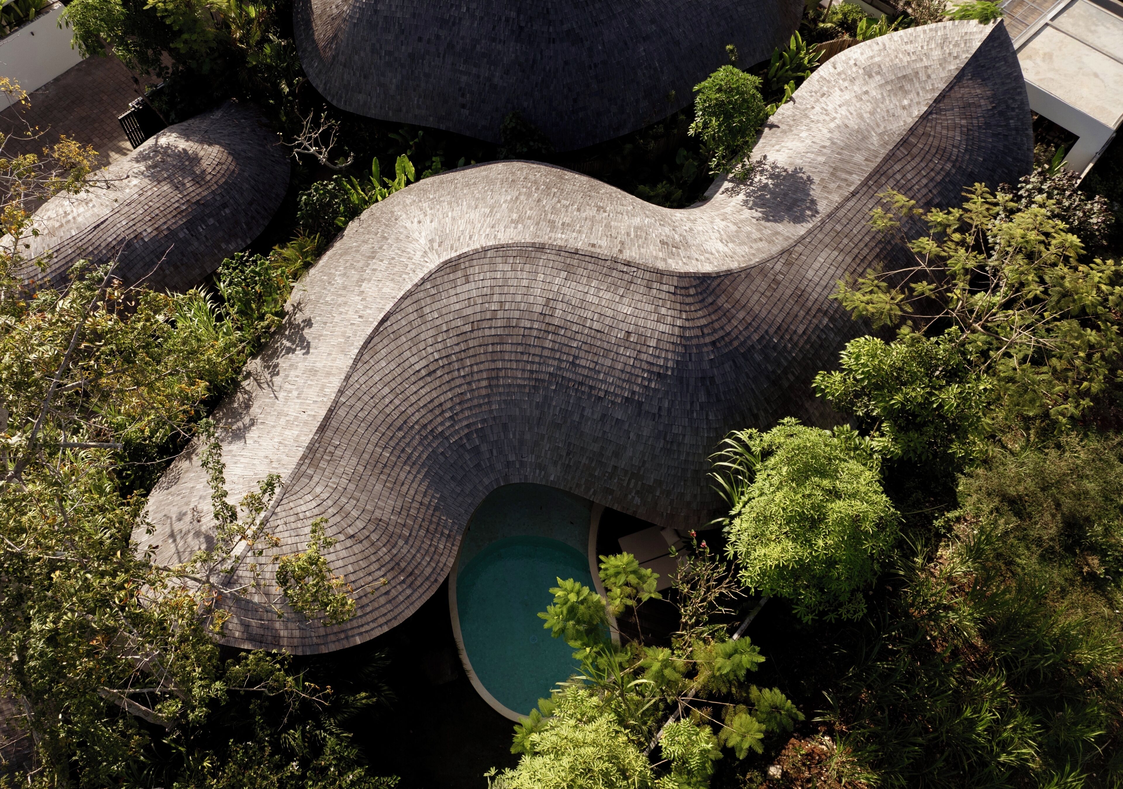 Un edificio moderno con un diseño de techo curvo único, rodeado de abundante vegetación.