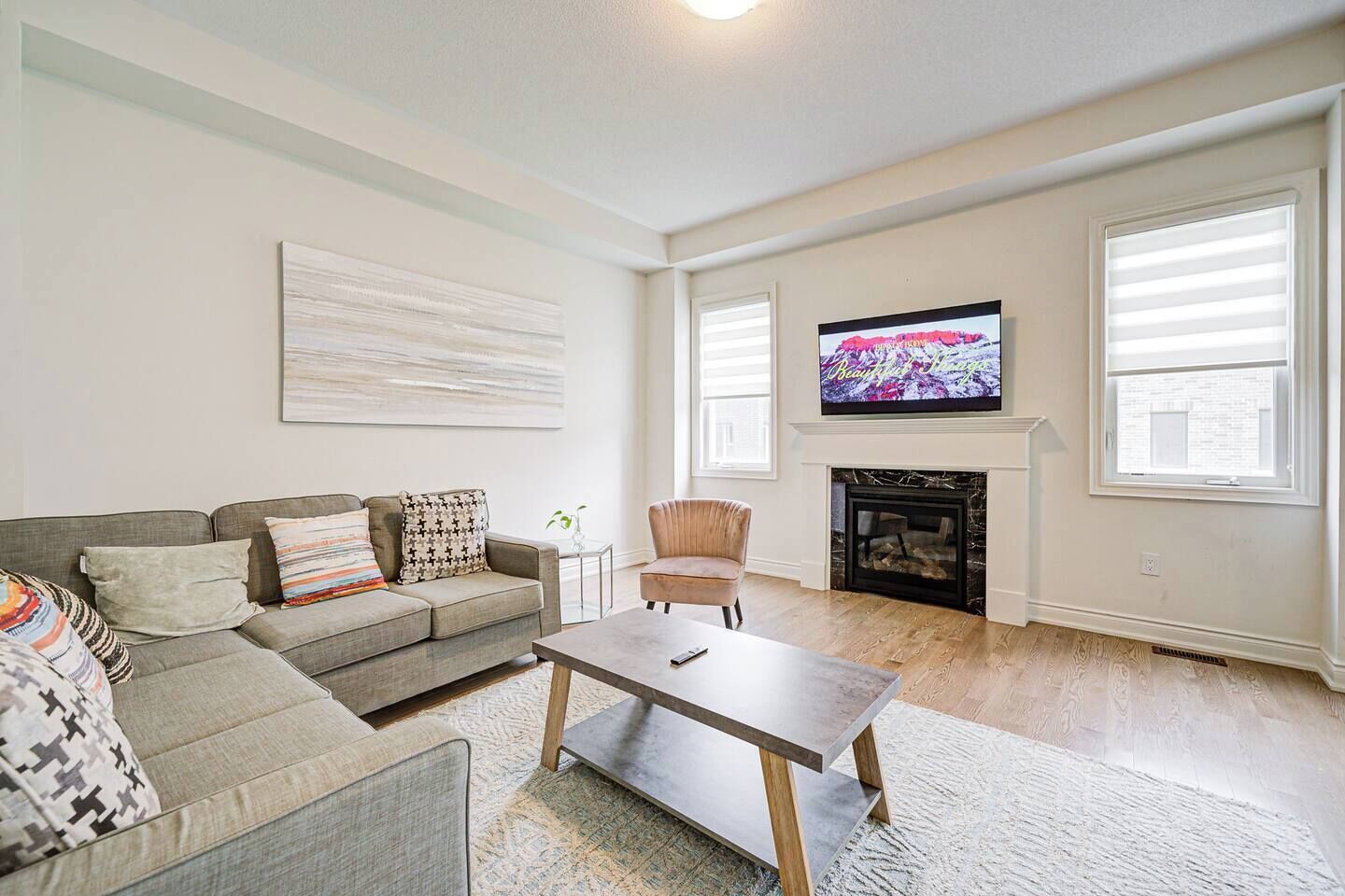 TV, fireplace, books
