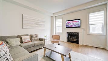 TV, fireplace, books
