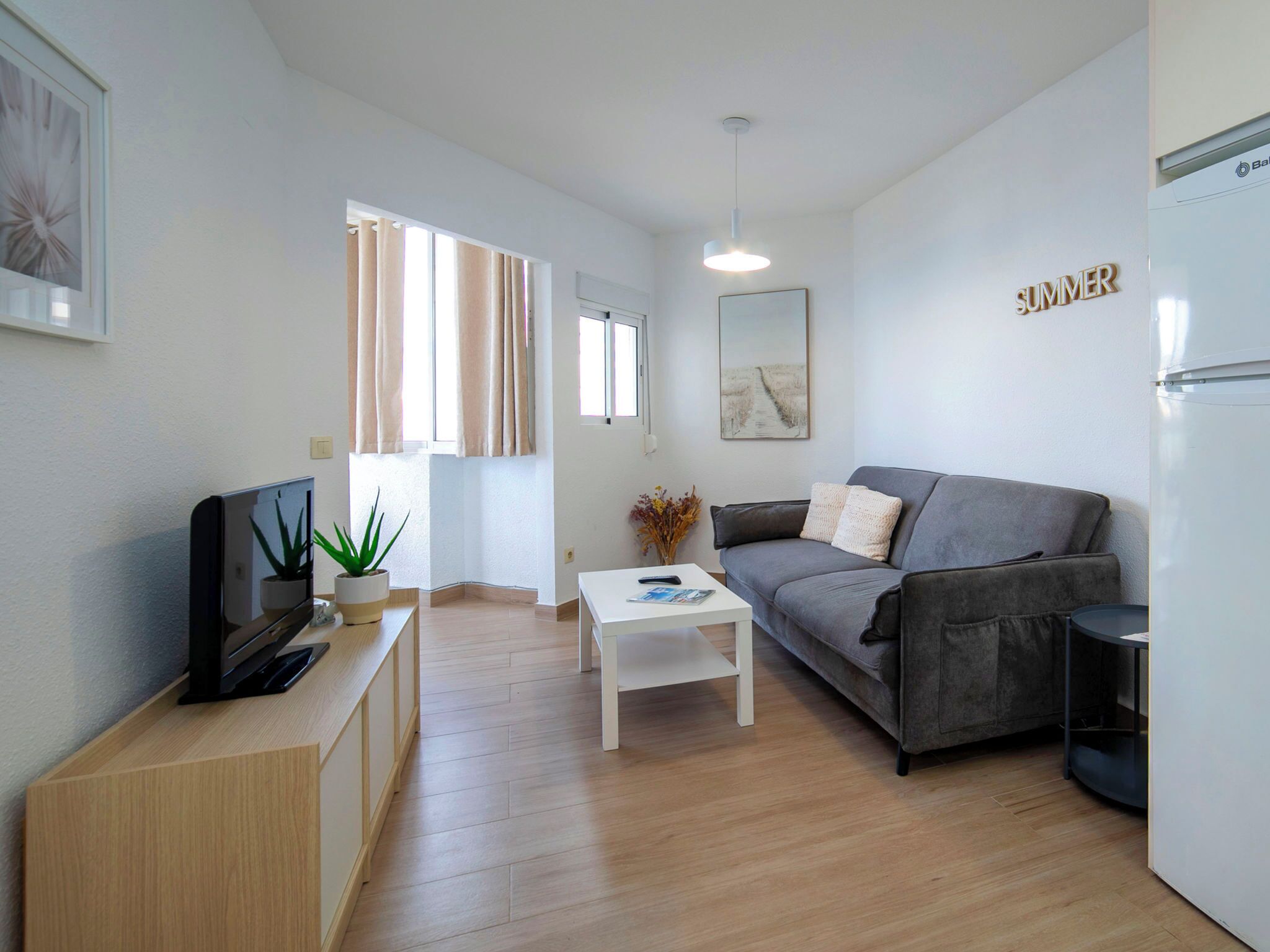 Un salon moderne avec un canapé, une table basse, un téléviseur et une plante en pot.