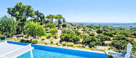 Una piscina con sillones de descanso y vistas a un área ajardinada con árboles y arbustos.