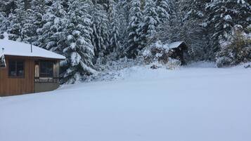 A snow-covered landscape with a wooden cabin and tall evergreen trees.