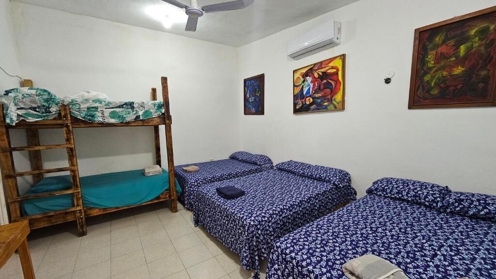A dormitory room with bunk beds, a ceiling fan, and wall art.