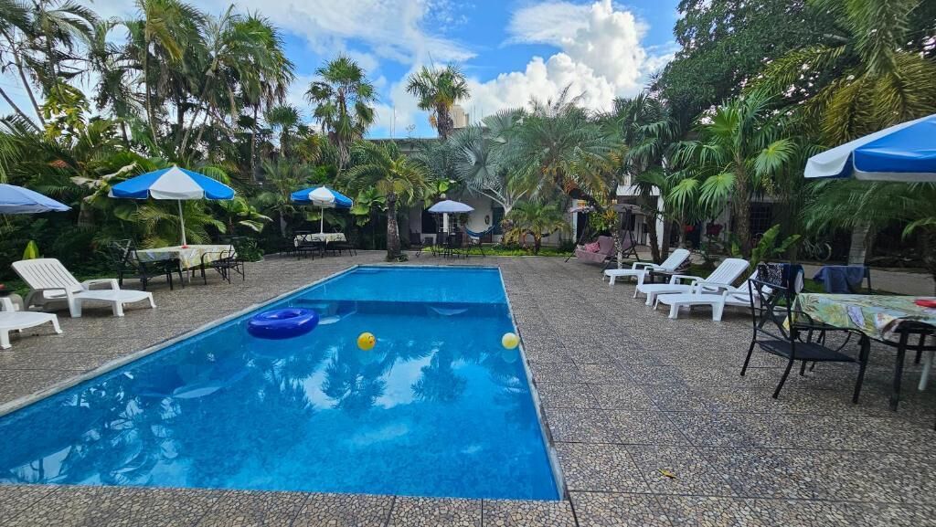 Une piscine entourée de palmiers, avec des chaises longues et des parasols.
