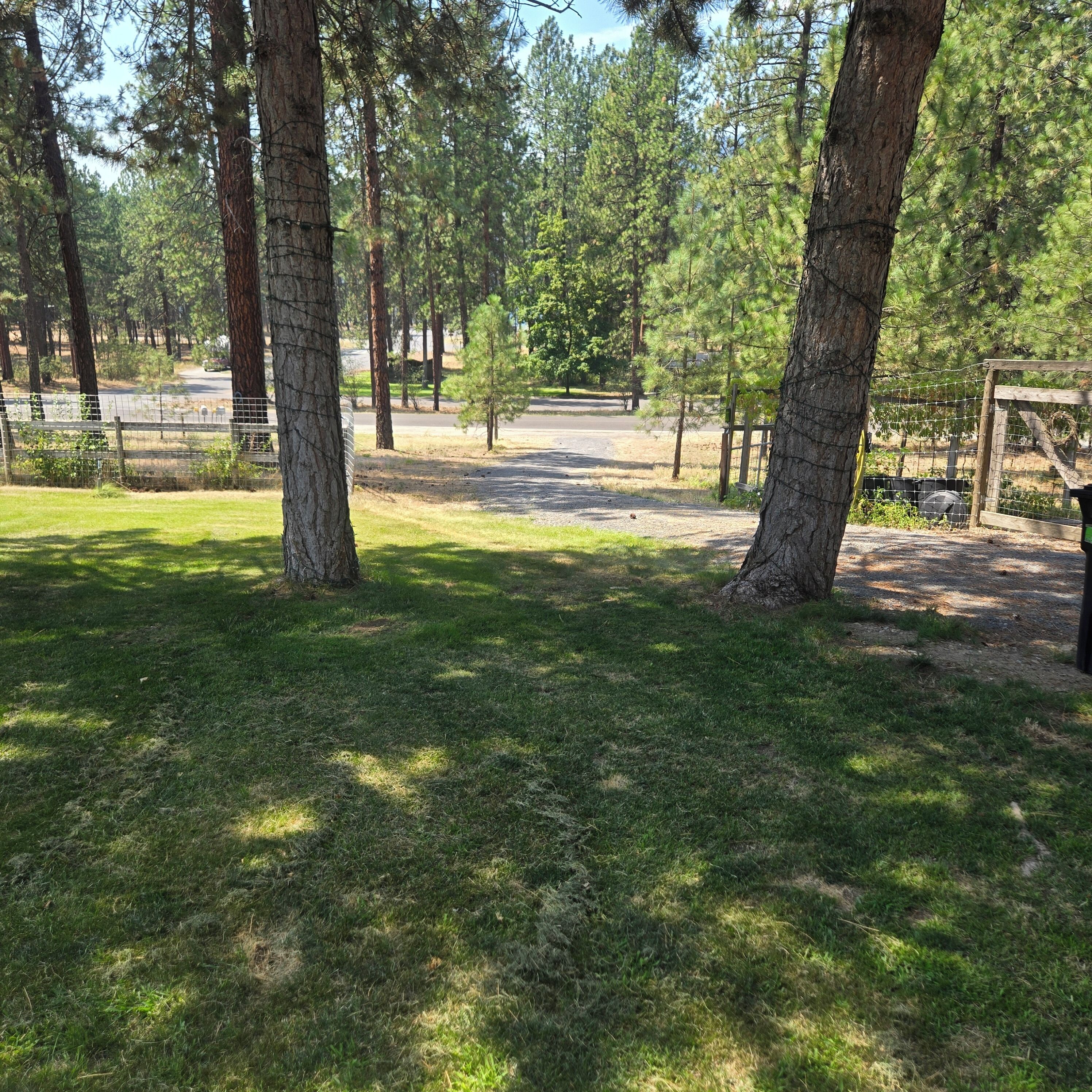 Un parc avec un chemin pavé, des pelouses et des arbres.