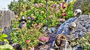 Um jardim com um lago, uma roda de madeira e diversas plantas.