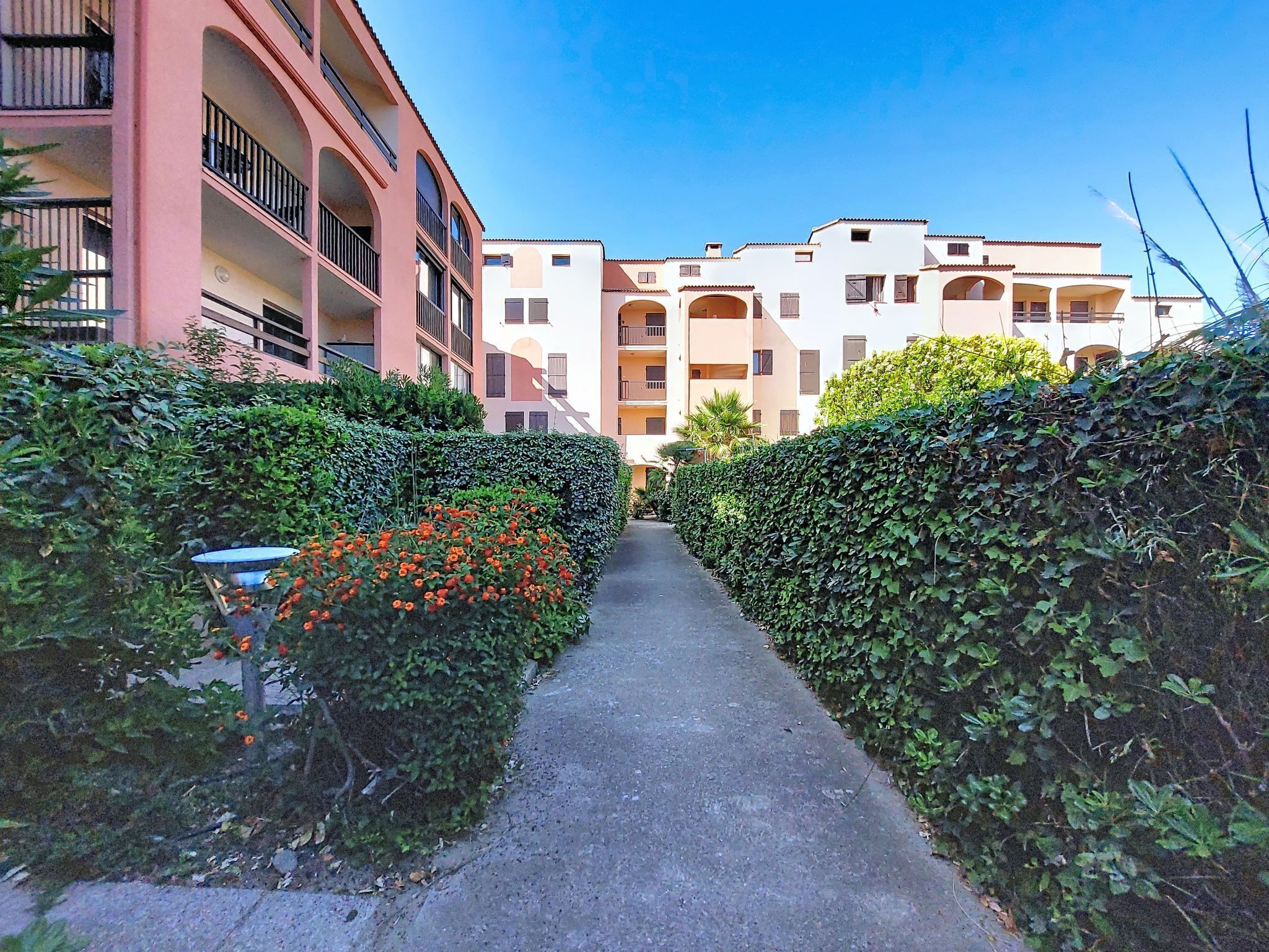 A narrow pathway flanked by neatly trimmed hedges and a row of multi-story buildings with balconies.