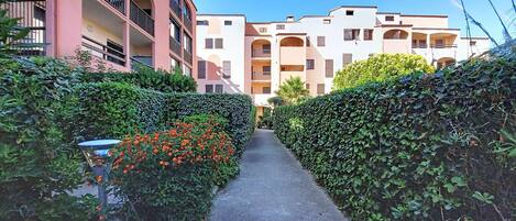 A narrow pathway flanked by neatly trimmed hedges and a row of multi-story buildings with balconies.