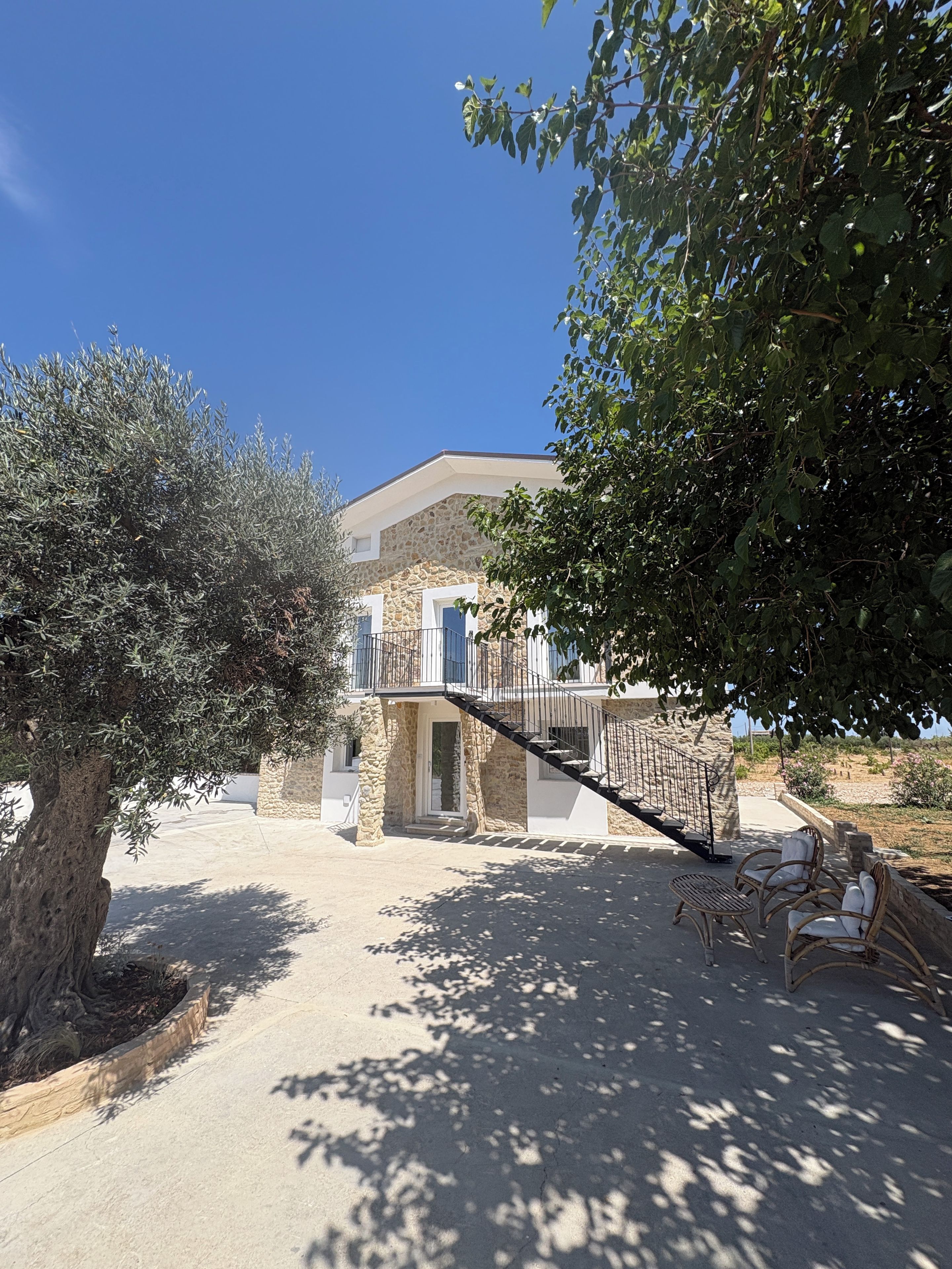 A stone building with a staircase leading to a balcony, surrounded by olive trees and a clear sky.