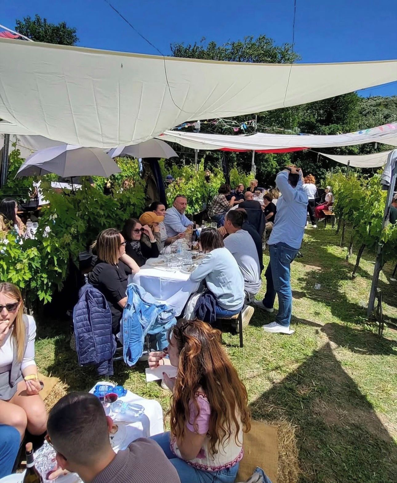 Uma área de refeições ao ar livre com mesas e guarda-sóis, rodeada por vegetação.