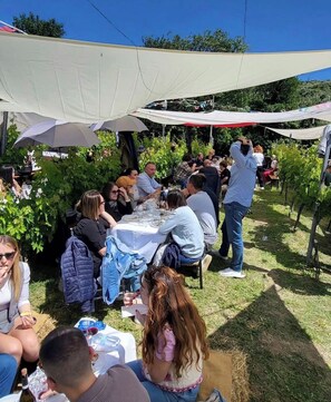An outdoor dining area with tables and umbrellas, surrounded by greenery.