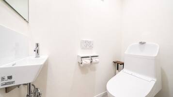 Shower, hair dryer, bidet, towels
